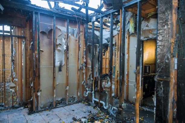 Professional Smoke Damage Removal technician working in Hutchinson, MN